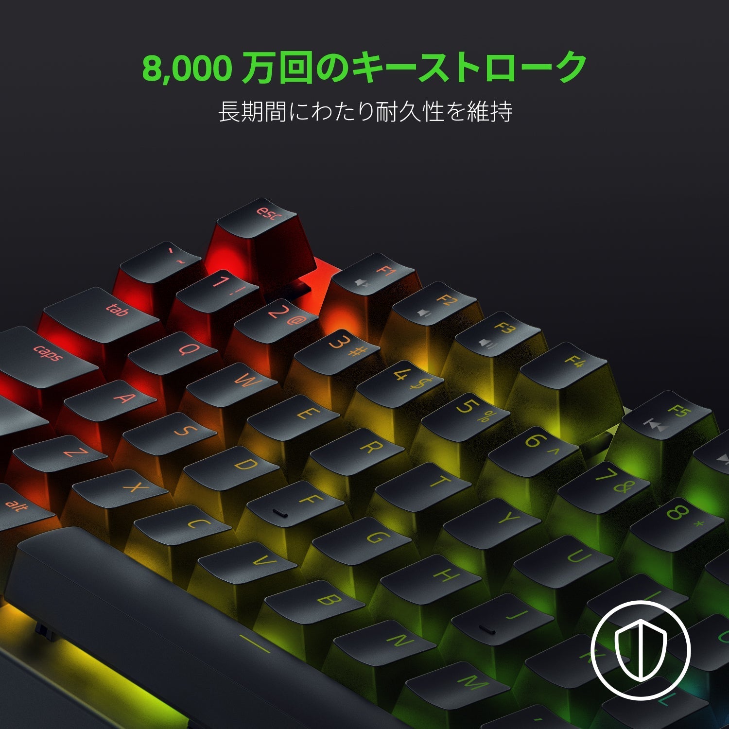 【アウトレット/パッケージ不良品】Razer BlackWidow V3 Tenkeyless JP - Green Switch ブラックウィドウ ブイスリー テンキーレス ジェーピー グリーン スイッチ thumbnail 8