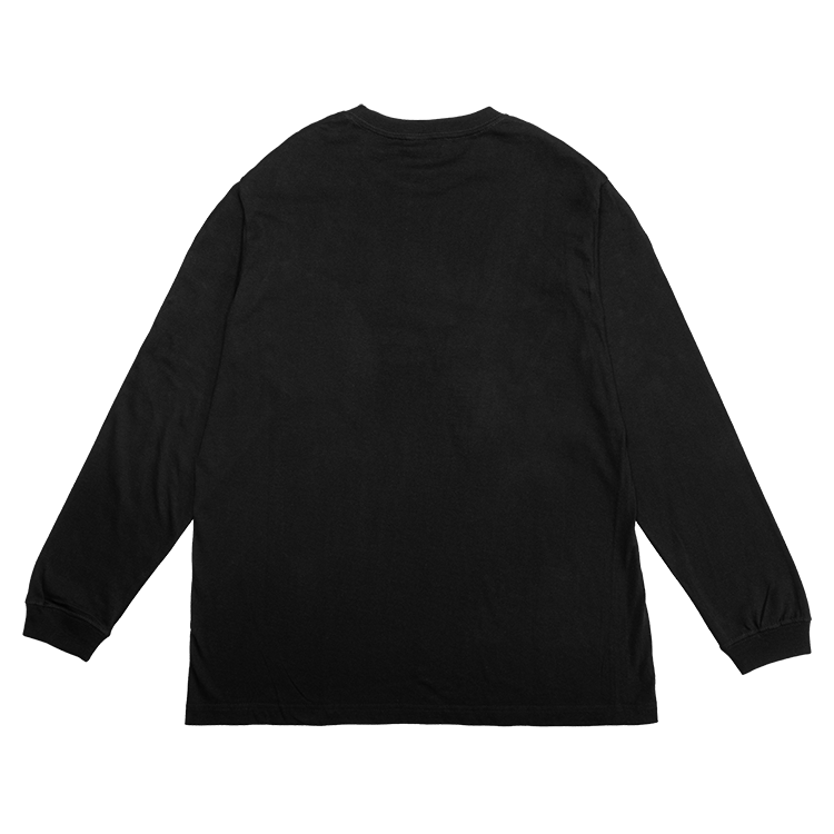EXAMPLE ストリートファイター Tシャツ 長袖 ロンT BB LION M ストリートファイター SF6ロゴ刺繍 プリント ロンT ブラック