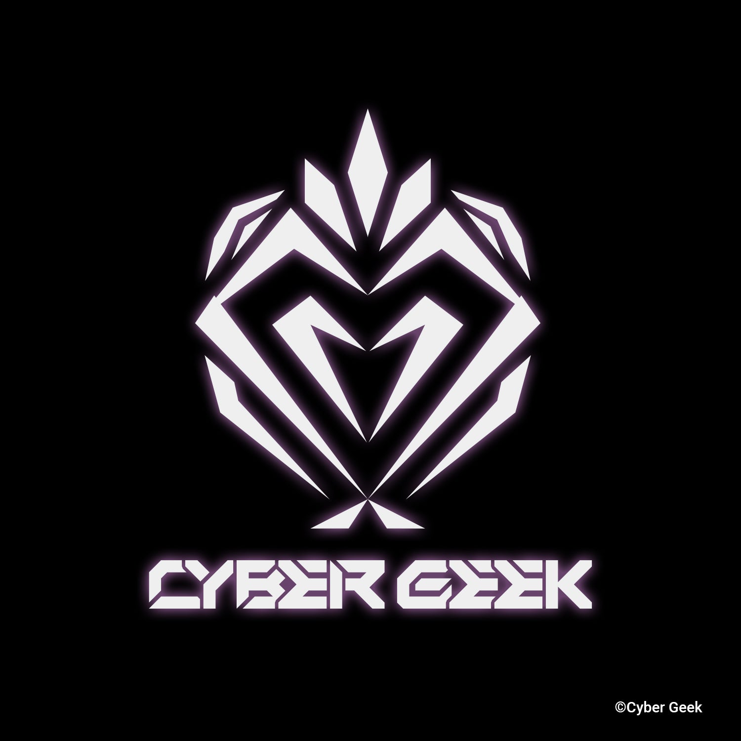 Cyber Geek